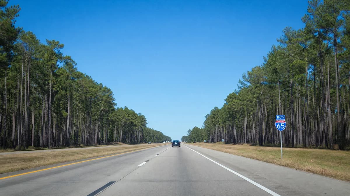 Gulf Coast Beach from Memphis: Everything You Need to Know